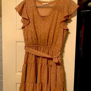 Blush Pink with Gold Accent Flirty Dress